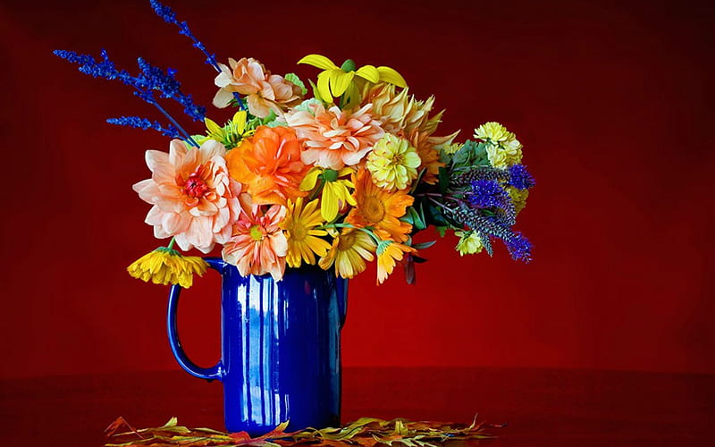 Still Life, flowers, petals, container, HD wallpaper