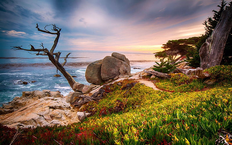 California Coast Near The City Monterey, beach, clouds, sky, sea, rock, HD wallpaper