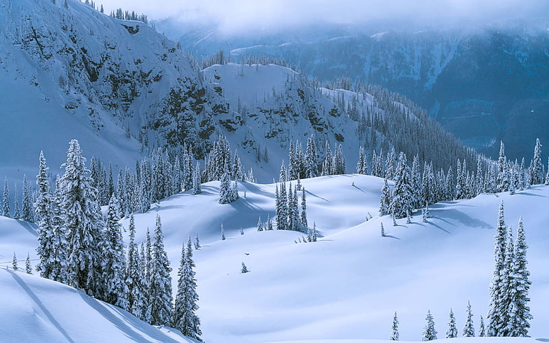 Winter Wonderland in British Columbia, mountains, canada, forest, snow, trees, mist, HD wallpaper