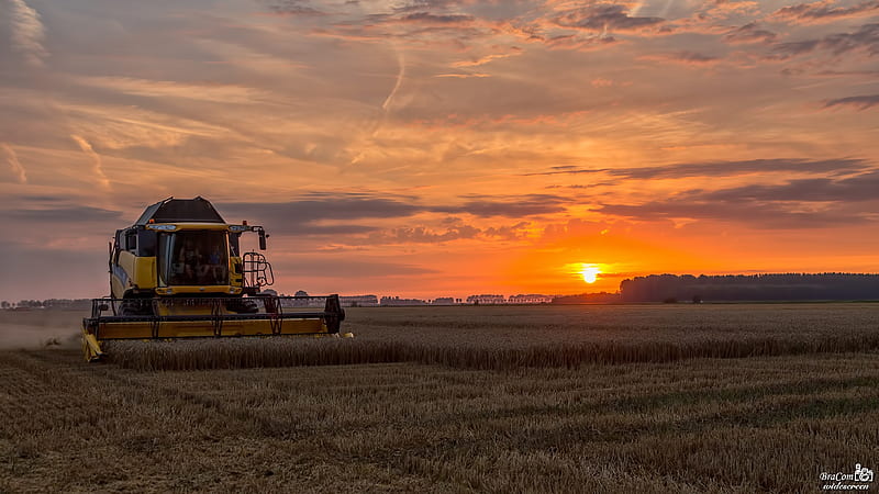 Harvesting at Sunset, Farming, Field, Harvest, Sunset, HD wallpaper