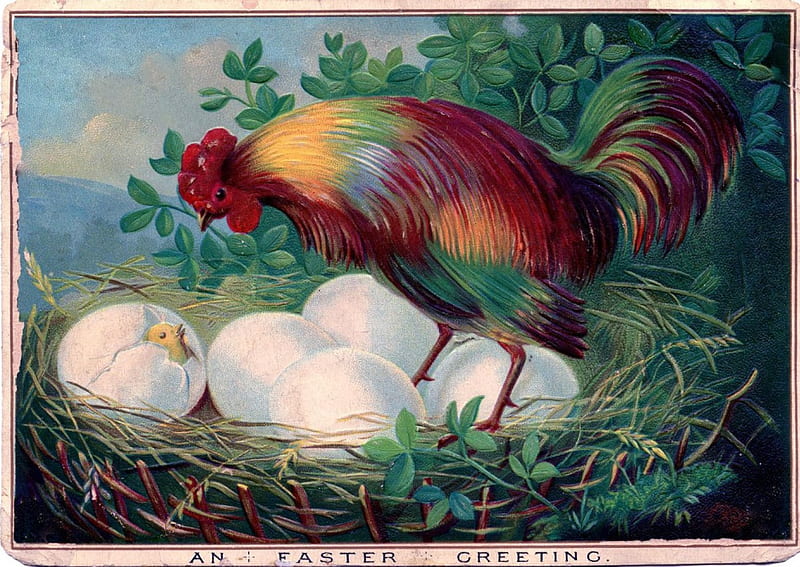 An Easter Greeting, rooster, nest, eggs, postcard, artwork, vintage, HD wallpaper