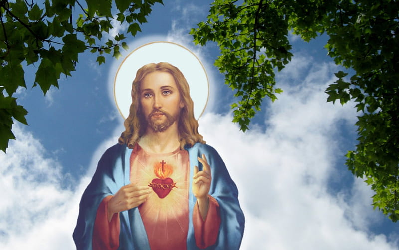 Sacred heart of Jesus, christ, jesus, god, sacred hearth, HD wallpaper