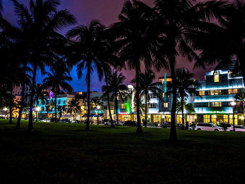 South Beach at Night(Miami), beach, house, nature, palm, trees, south beach, lights, night, HD wallpaper