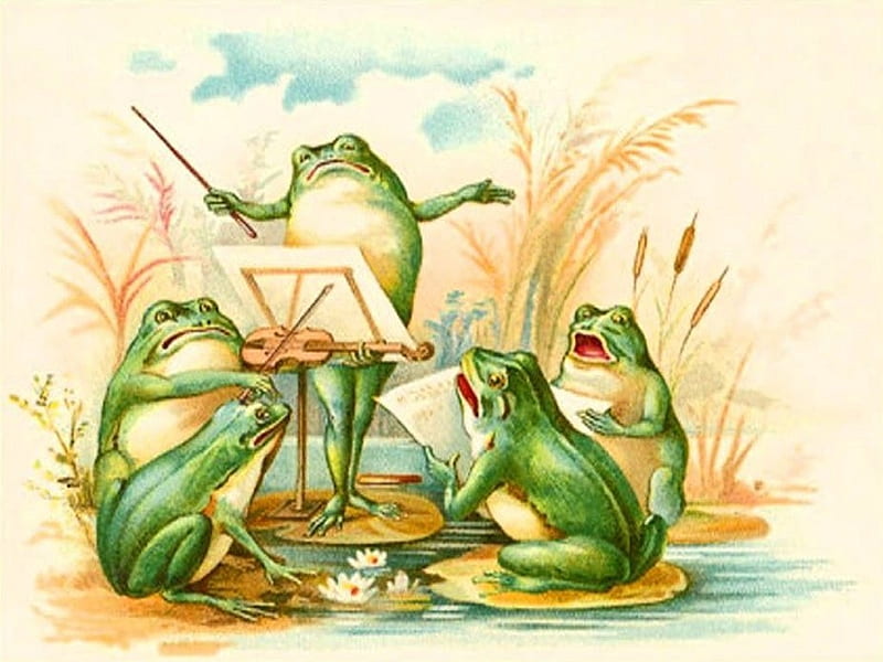 Frog Choir, frogs, yellow, white, green, pond, HD wallpaper