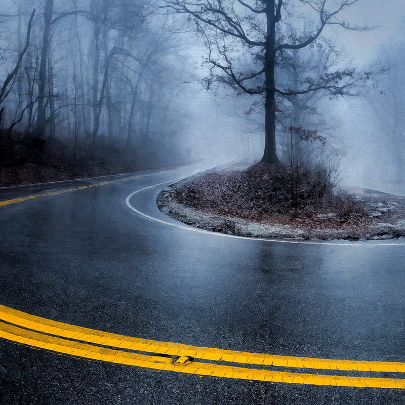 foggy road wallpaper