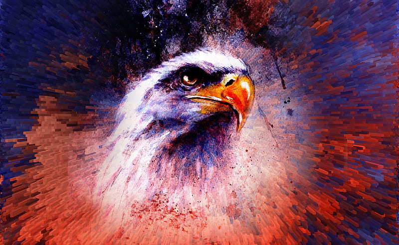 Eagle Abstract , eagle, abstract, artist, artwork, digital-art, HD wallpaper
