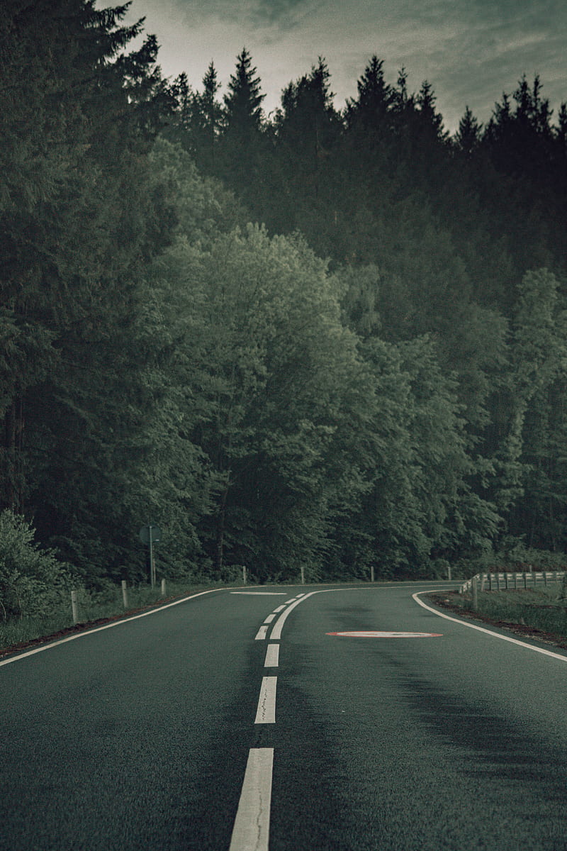 Roads, forest, rain, road, usa, HD phone wallpaper