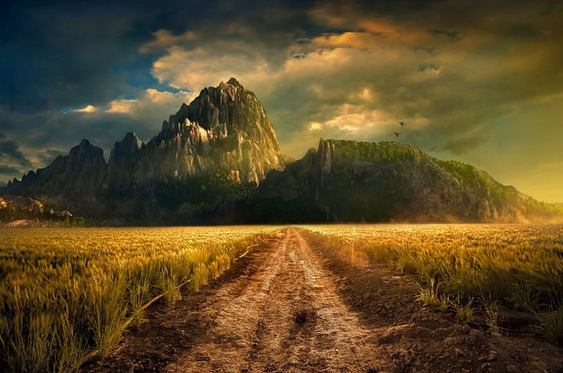 Narnia, grass, birds, bonito, sunset, sky, clouds, mountain, road, field, HD wallpaper