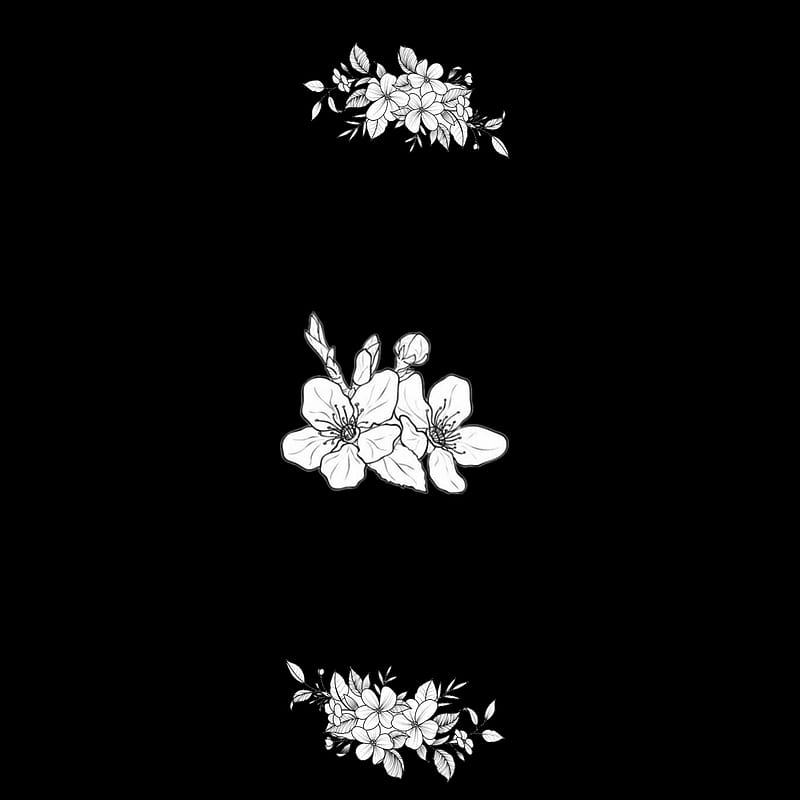 White flowers, black, happy, love, rose, HD phone wallpaper | Peakpx