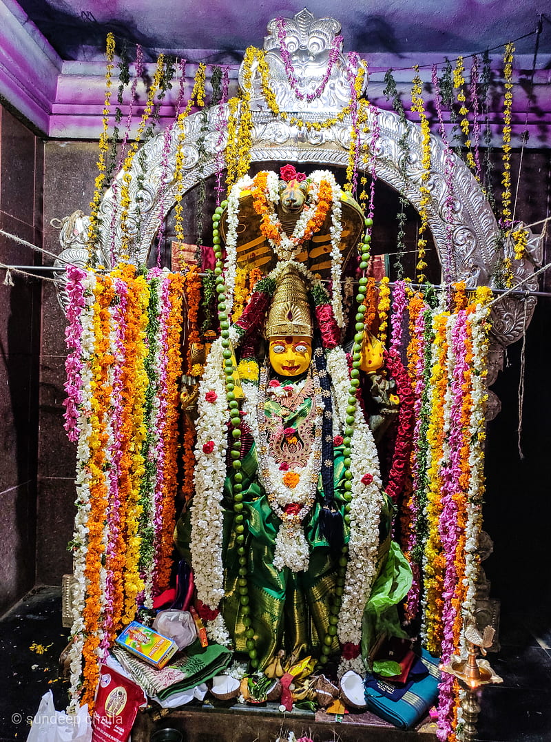 Manasa devi goddess, god, lord, manasadevi, nagadevatha, HD phone wallpaper  | Peakpx