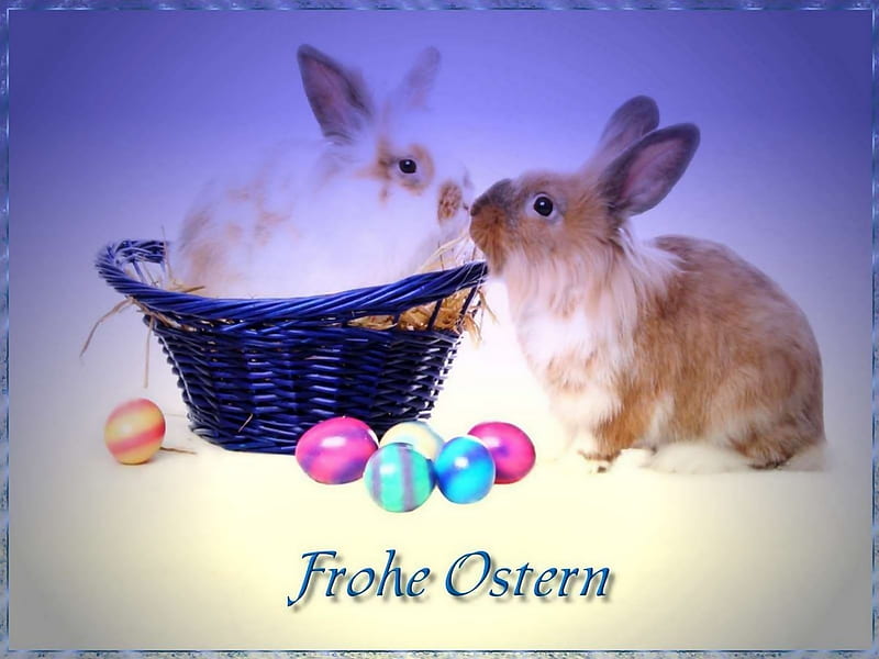 Happy Easter - Frohe Ostern, easter eggs, holiday, easter, bunnys, eastern, happy eastern, holly day, bunny, hare, happy easter, self made, easter hare, HD wallpaper