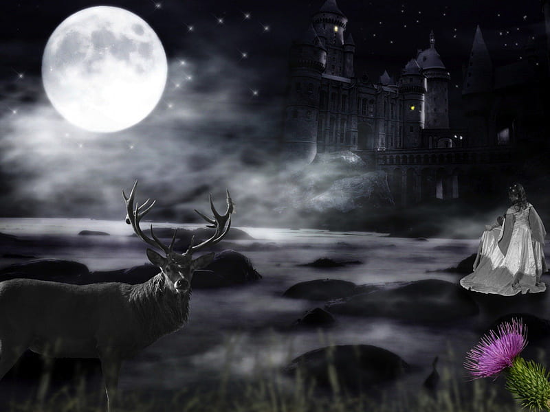 Caledonia Calling Me, moon, water, stag, thistle, castle, woman, mist, HD wallpaper