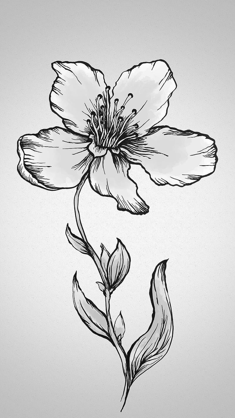 Orchid tattoo design | still an early sketch. My wife asked … | Flickr