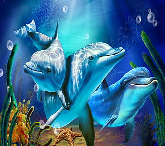 Delfines, HD wallpaper | Peakpx