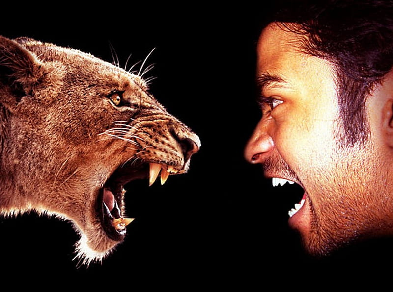 Face to face, beast, man, roar, scream, HD wallpaper