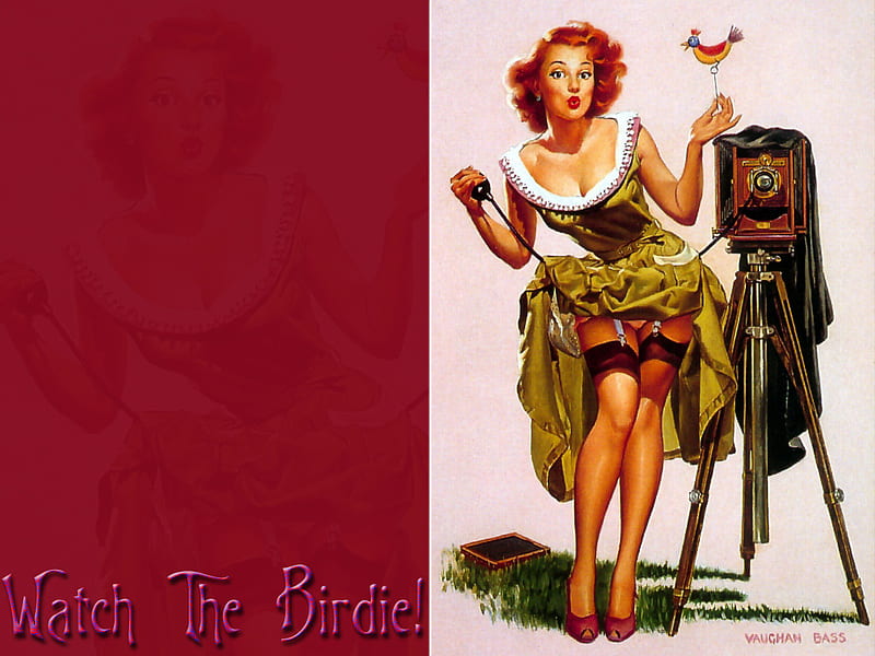 Watch The Birdie, retro, stockings, post card, pinup, HD wallpaper