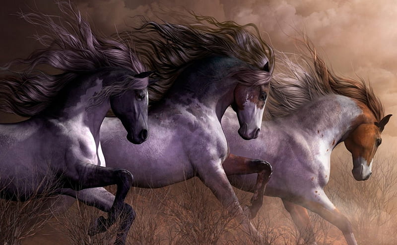 Dapple-grey Spanish horse - portrait in motion, Posters, Art Prints, Wall  Murals