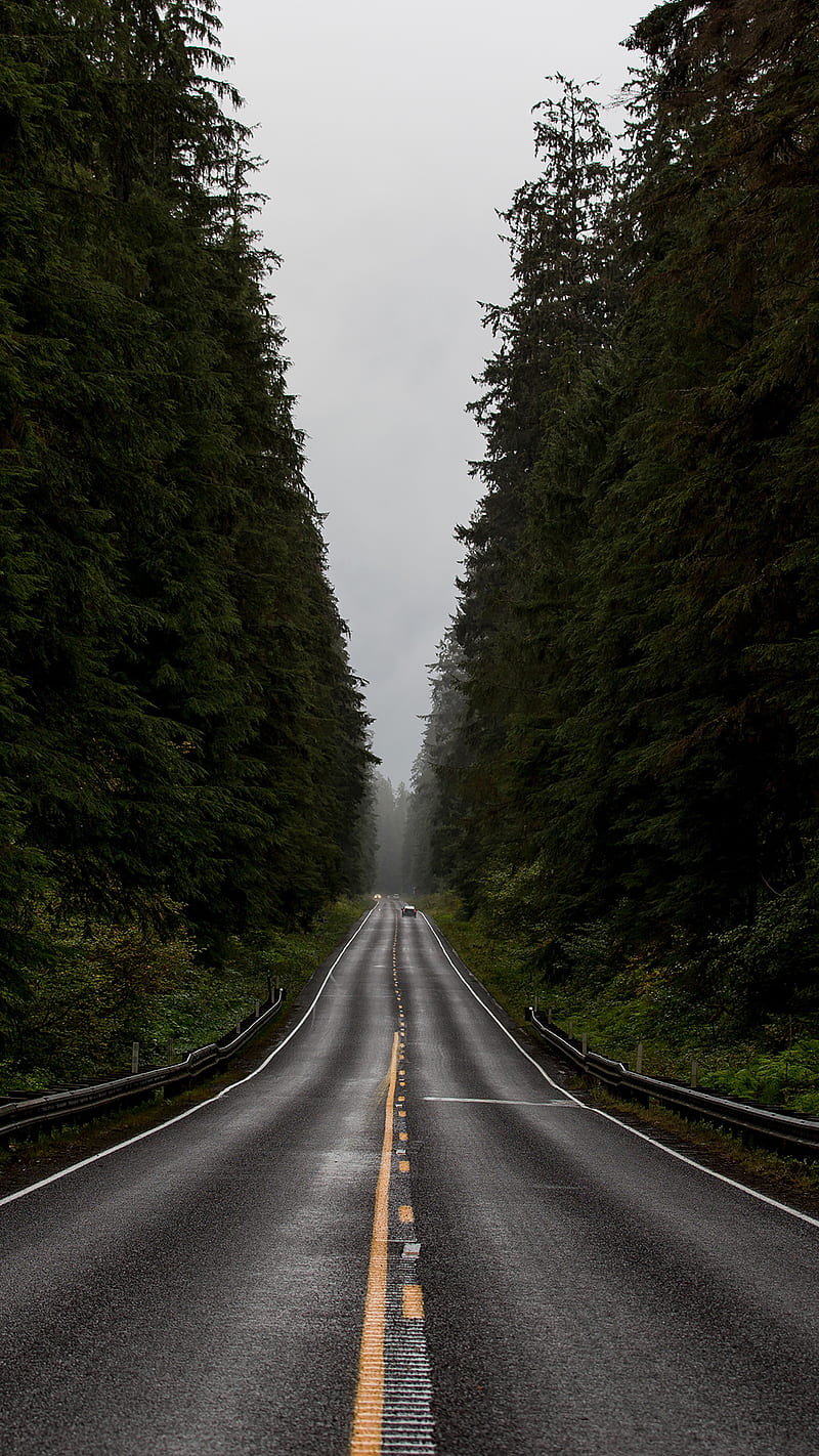Road, dark, drum, drums, forest, highway, mountain, railroad, tracks, usa, HD phone wallpaper