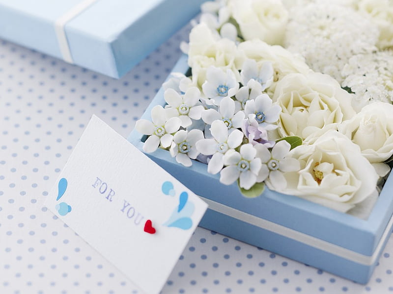 Valentine gift box flowers for My Friends, box, valentine, gift, heart, flowers, nature, white, blue, letter, HD wallpaper