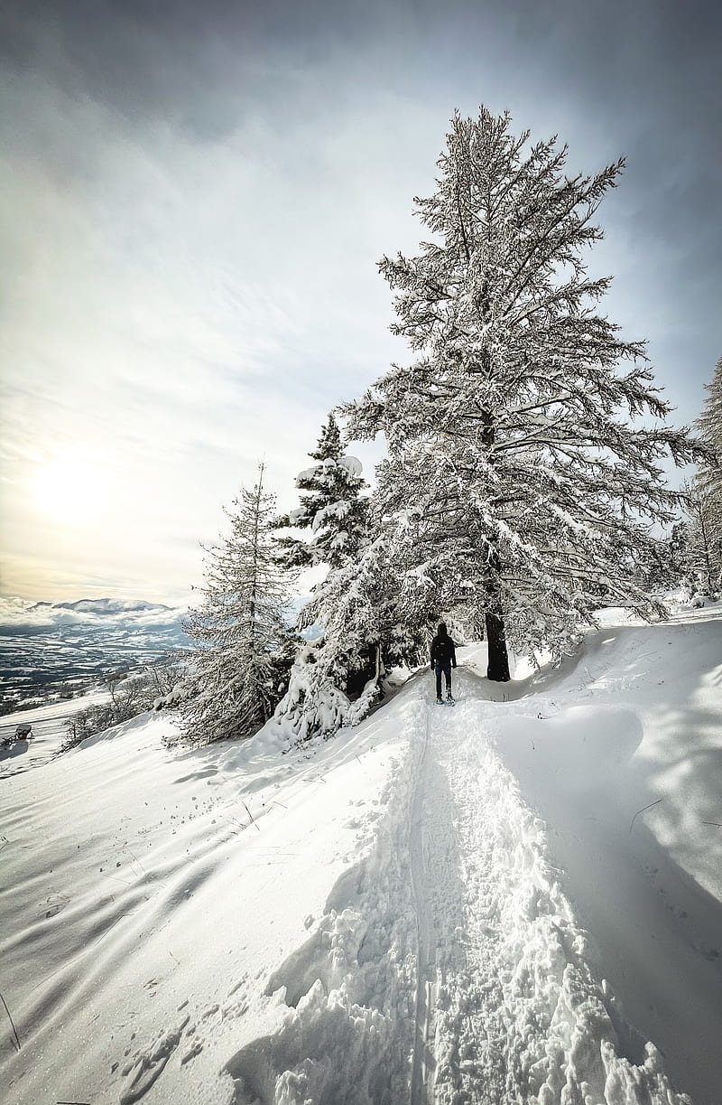 man, trees, snow, alone, winter, HD phone wallpaper
