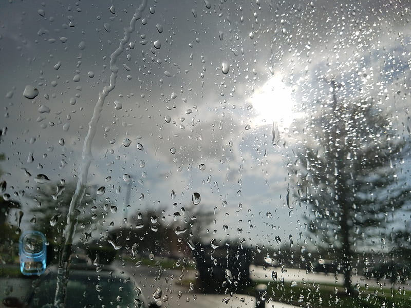 Sunny Rainstorm, gris, rainy, real, storm, sun, tree, weather, HD wallpaper
