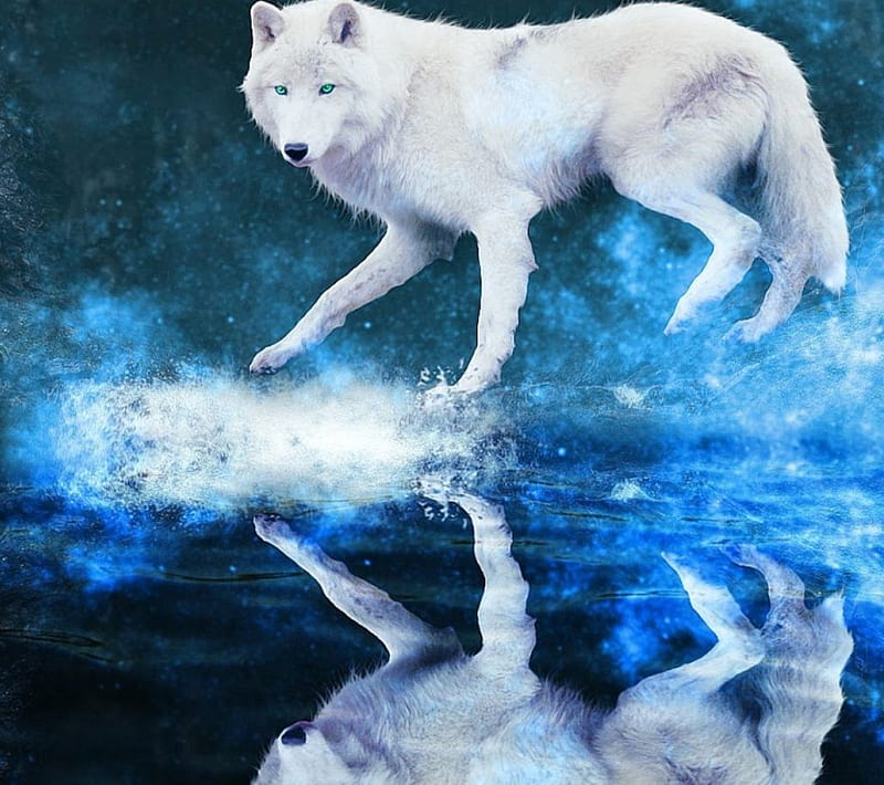 A Wolf's Dream, predator, water, painting, reflection, artwork, HD ...