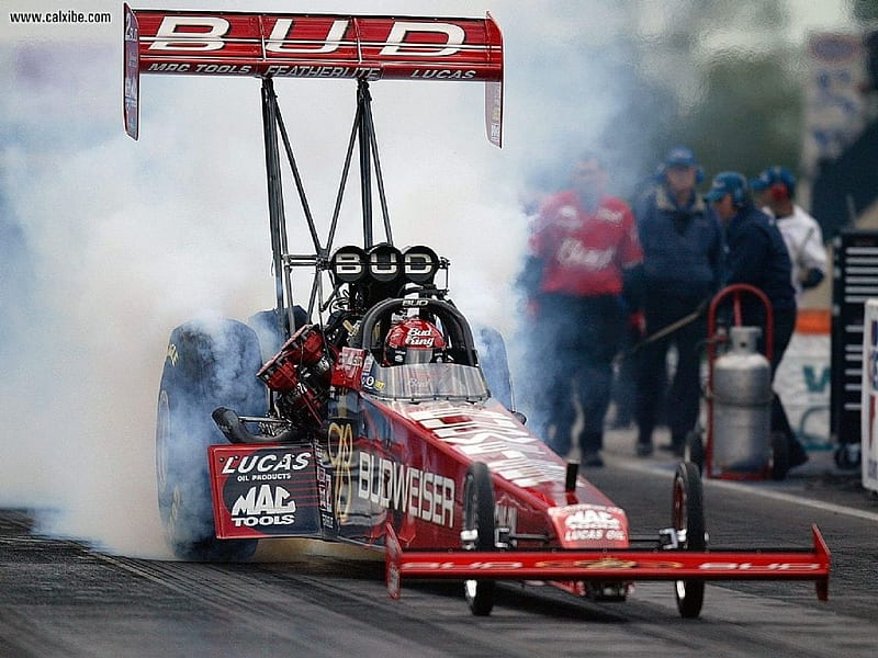 Budweiser Top Fuel Eliminator, red, dragsters, graphy, drag racing, smoke, bud, HD wallpaper