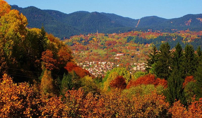Smolian town in Rhodopy mountain, forest, fall, autumn, town, colors, bonito, trees, mountain, graphy, bulgaria, HD wallpaper