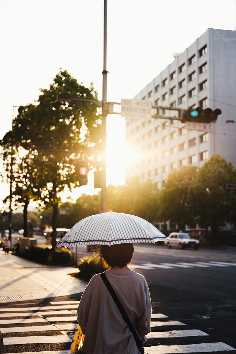 street, man, umbrella, sun, city, HD phone wallpaper