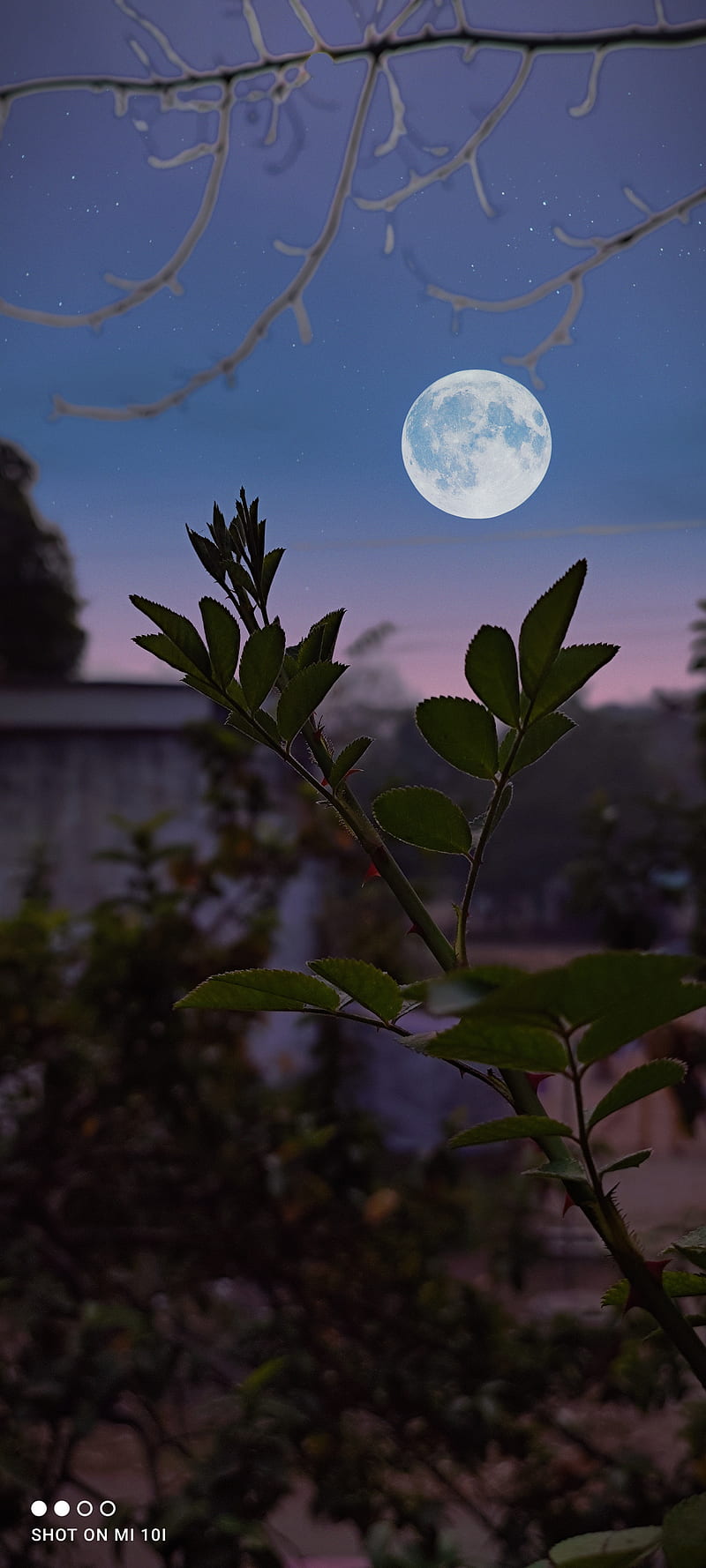 Nature, capture, good, good night, moonlight, night, HD phone wallpaper |  Peakpx