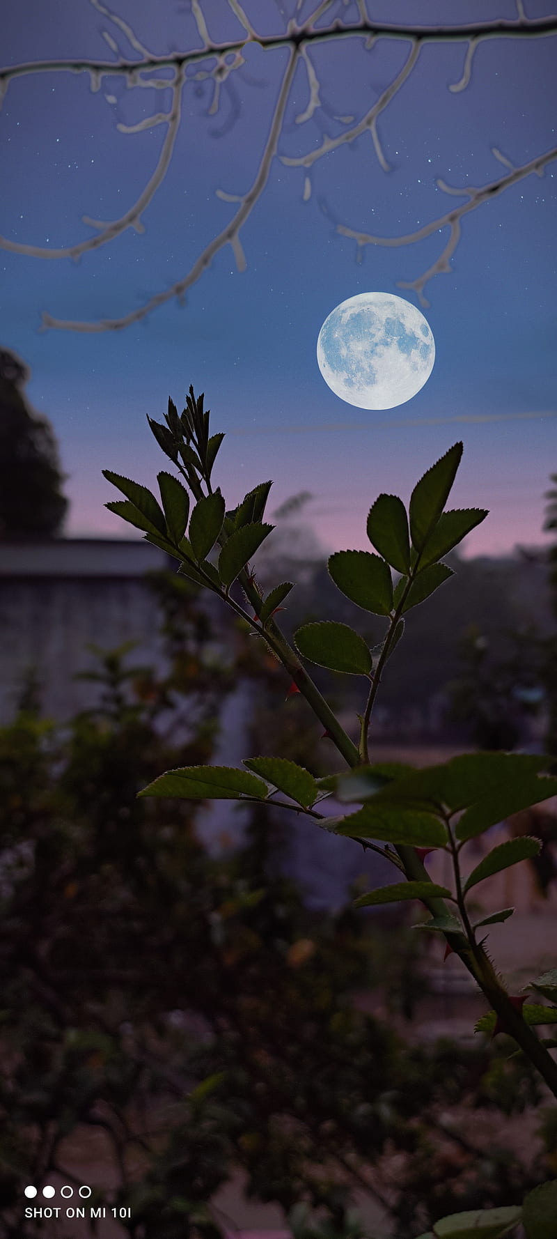 Nature, capture, good, good night, moonlight, night, HD phone wallpaper