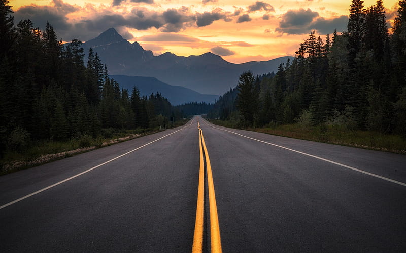 asphalt road, mountain landscape, sunset, forest, Alberta, Canada, HD wallpaper
