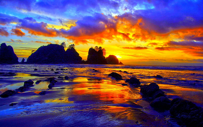 Ocean Sunset, rocks, Olympic Coast, ocean, sunset, trees, sky, clouds, water, Olympic National Park, Point of the Arches, Washington State, HD wallpaper