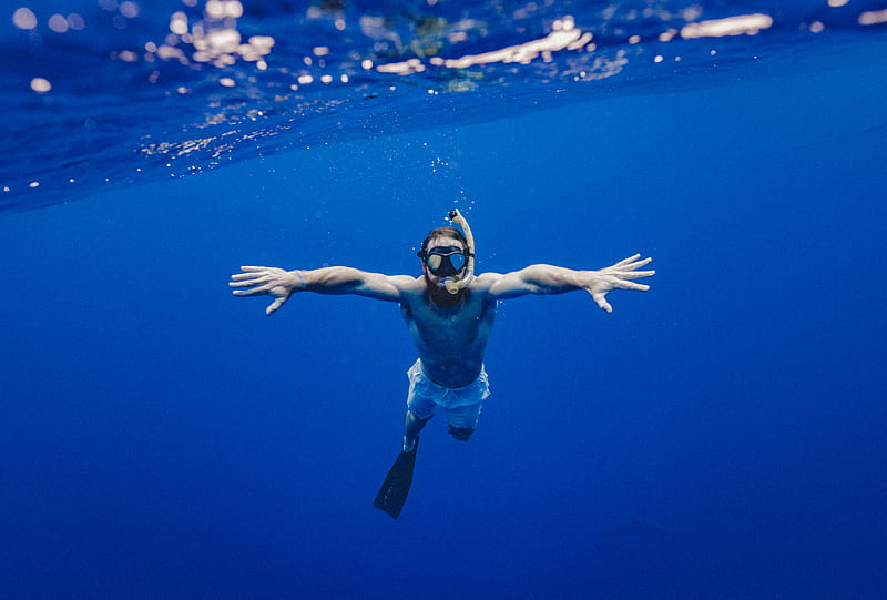 man snorkling underwater, HD wallpaper