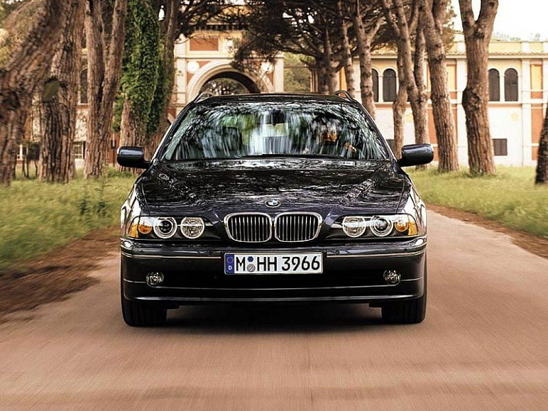 BMW 3 series, black, tree, road, car, HD wallpaper