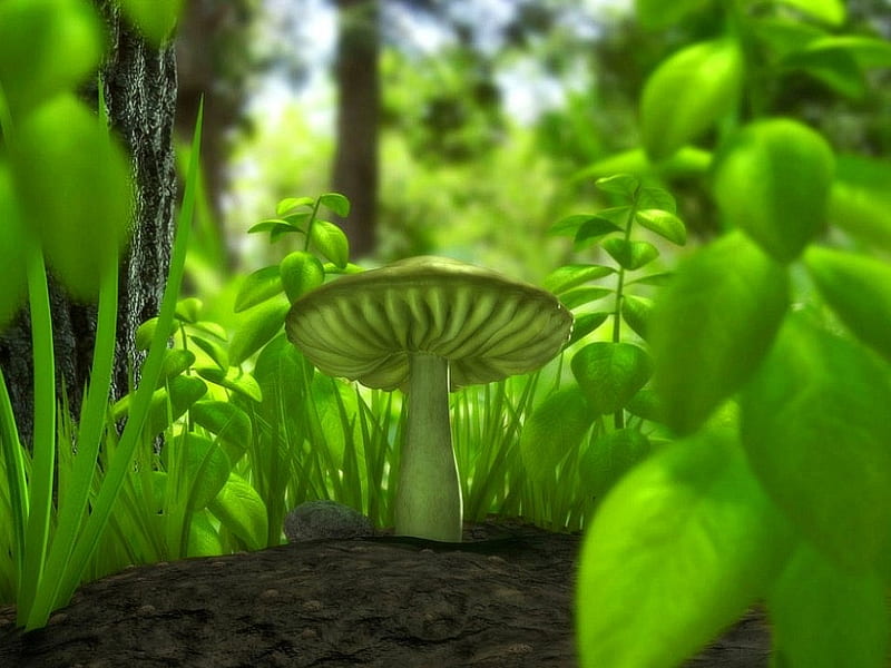 Green Mushroom, forest, fungus, fungi, plants, mushroom, HD wallpaper