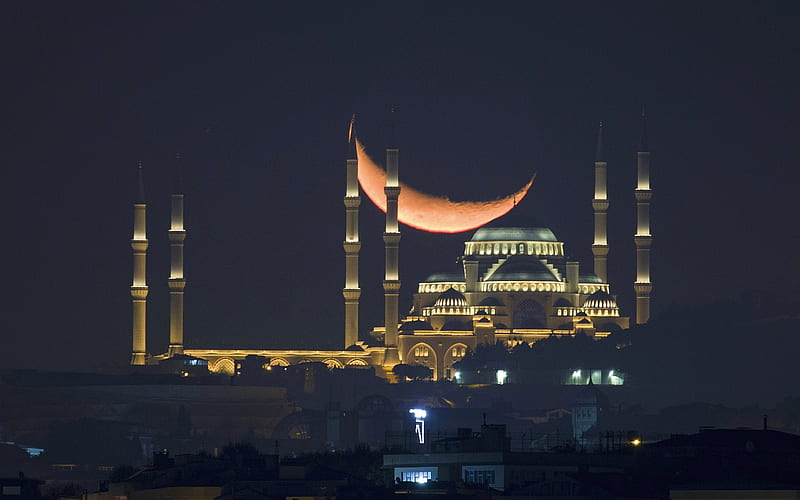 Sultan Ahmed Mosque, Blue Mosque, night, big moon, Turkish mosque, Istanbul, Turkey, HD wallpaper