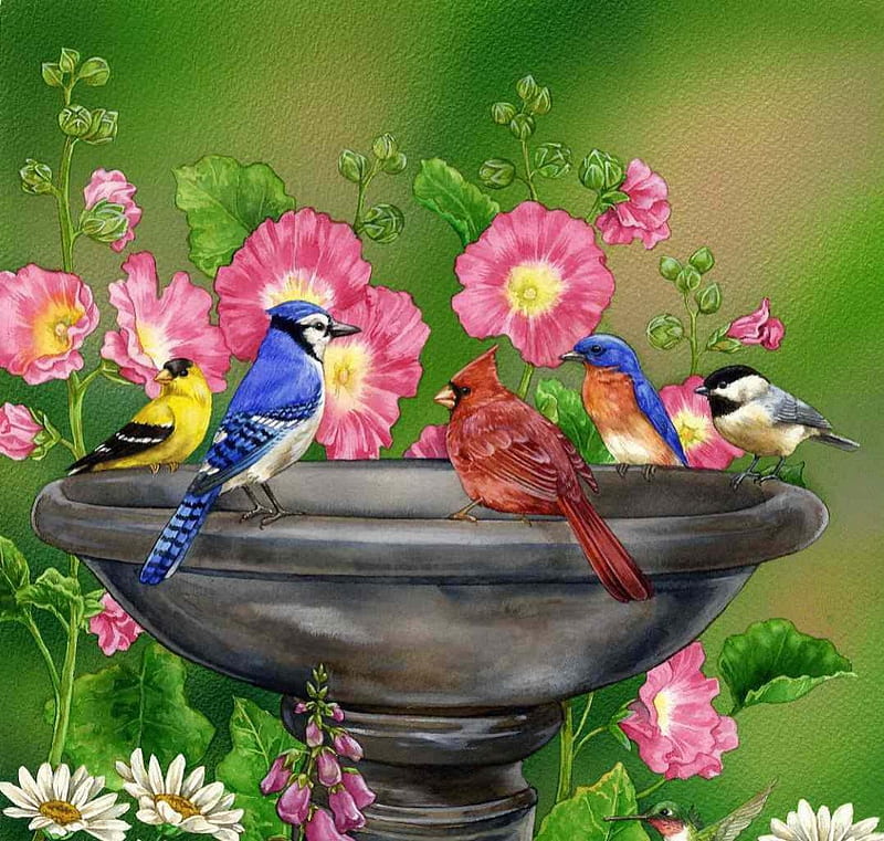 BIRDBATH FUN, BIRD, FLOWERS, WATER, BATH, HD wallpaper