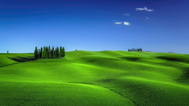 Green meadows, landscape, nature, Tuscany, HD wallpaper