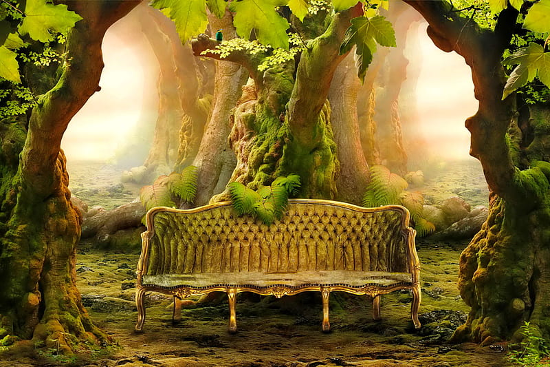 Sofa in the forest, rest, forest, fantasy, magic, bonito, trees, sofa, enchanted, HD wallpaper
