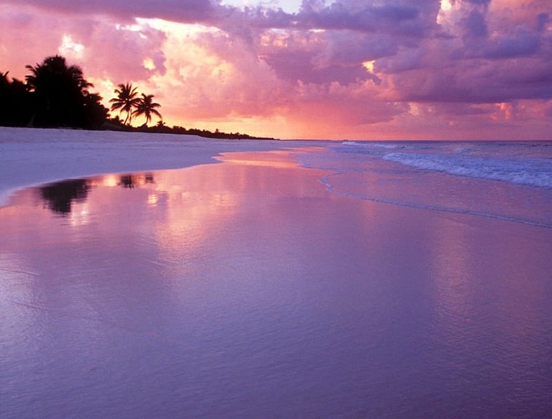 Purple Beach., wonderful, a, purple, hue, HD wallpaper