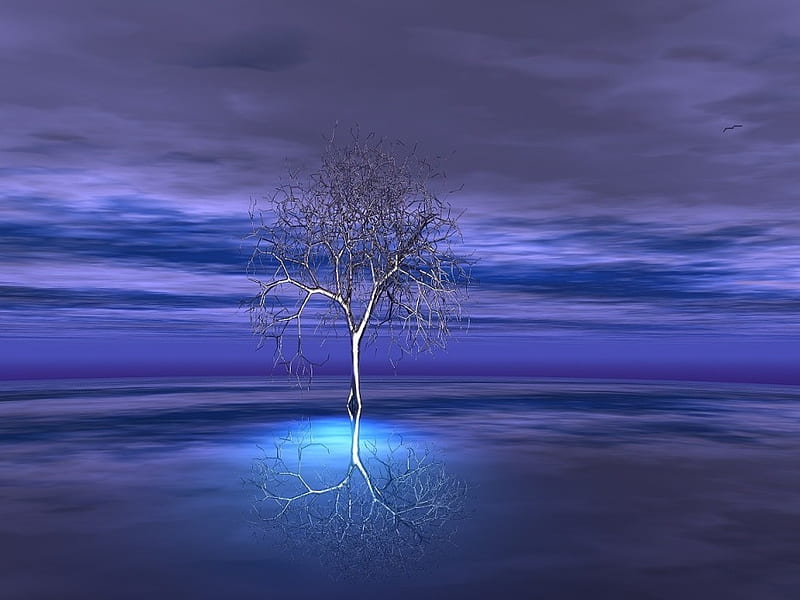 the joshua tree, tree, 3d, sky, purple, HD wallpaper