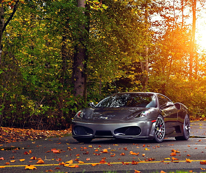 park autumn, 3d, amazing, auto, autum, car, ferrari, park, super, trees, HD wallpaper