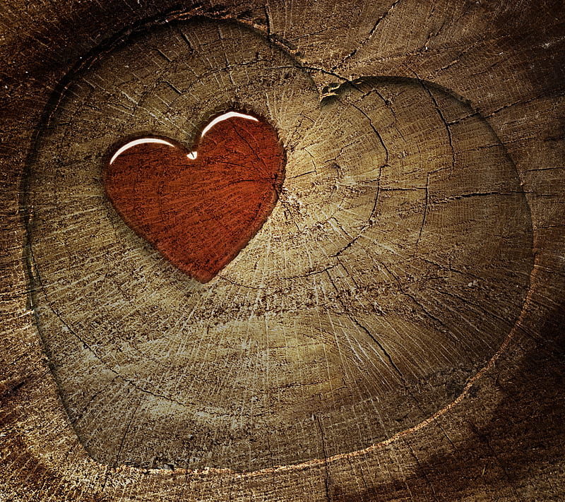 Heart, designs, love, lovers, woods, HD wallpaper