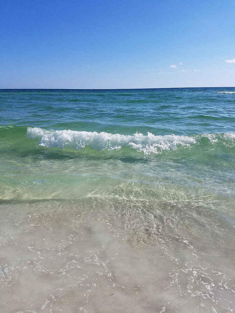 1000 Florida Beach Pictures  Download Free Images on Unsplash
