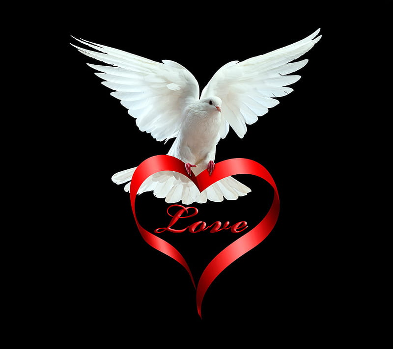 Love And Peace, dove, heart, romantic, HD wallpaper