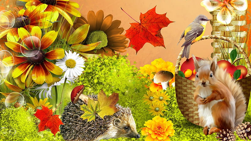 Autumn Flowers and Fruit, fall, flowers, autumn, squirrel, apples, porcupine, nuts, leaves, whimsical, bird, flowers, mushrooms, ivy, HD wallpaper