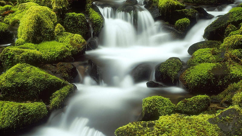 Waterfall Stream On Green Algae Covered Rocks Nature, HD wallpaper | Peakpx