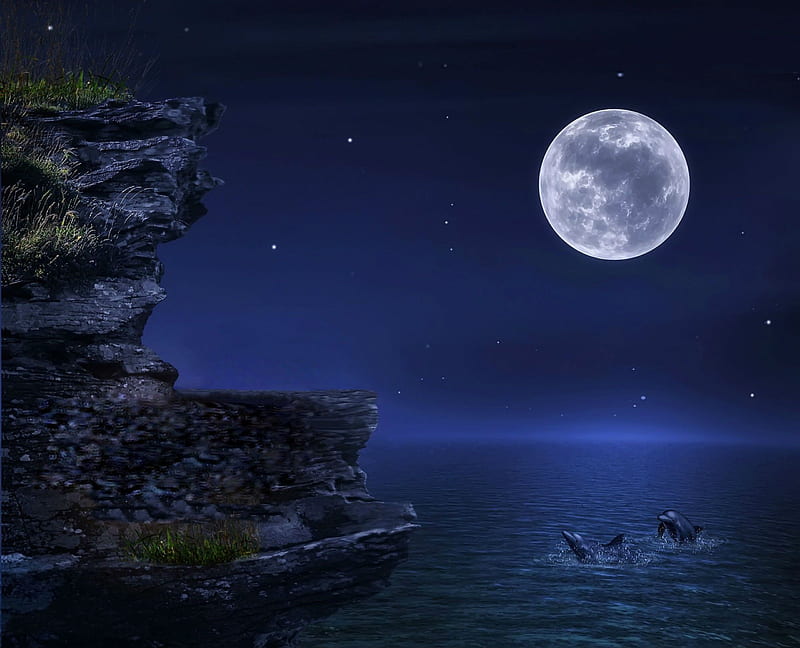 A PAIR OF DOLPHINS, BLUE, MOON, STARS, OCEAN, SKY, NIGHT, DOLPHINS, HD  wallpaper | Peakpx