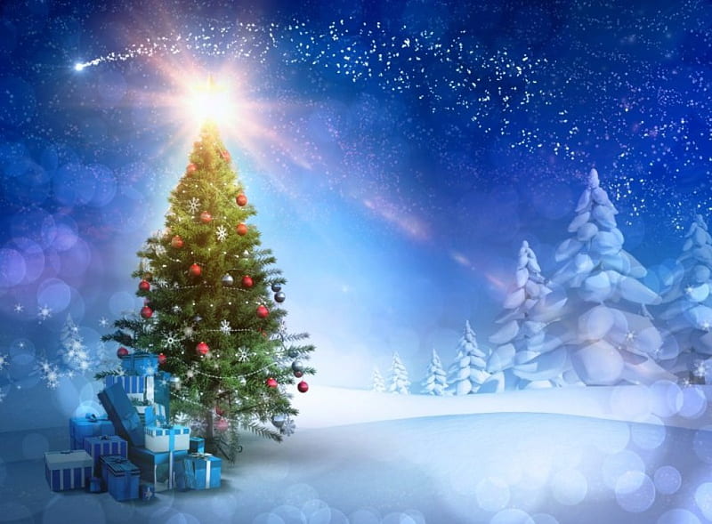 Magical Christmas, stars, Christmas, holidays, blessed, abstract, sky, winter, tree, snow, magical, light, HD wallpaper